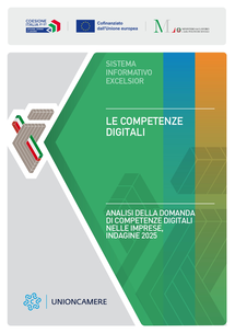Le competenze digitali 